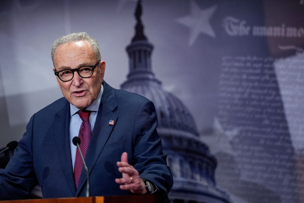 Schumer says there are 3 sticking points in DHS shutdown — as thousands ...