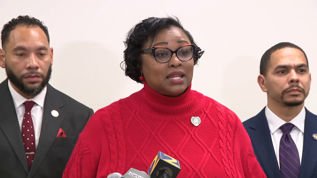 Georgia Democrats move to block ICE detention facilities in South ...