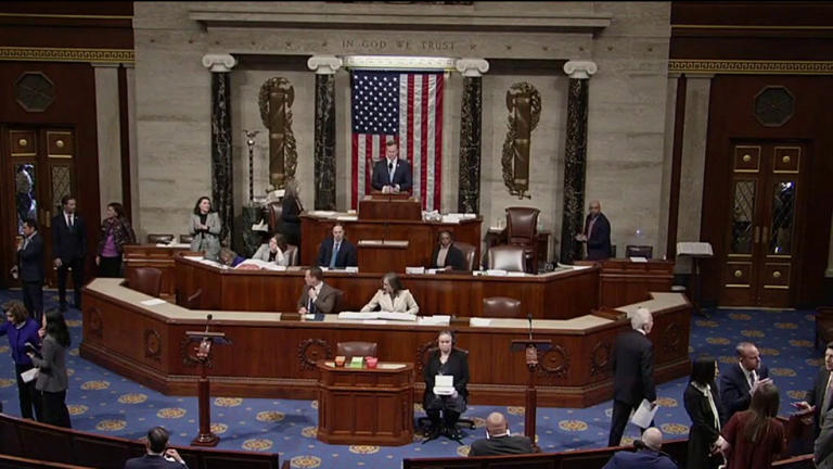 Government shutdown, immigration demands and midterm politics collide ...