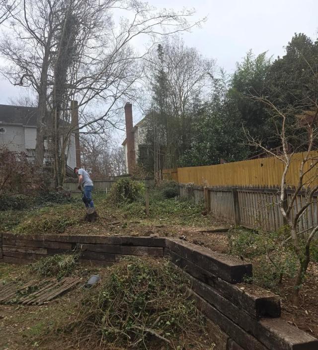 Homeowner shares photos after battling with creeping backyard menace ...