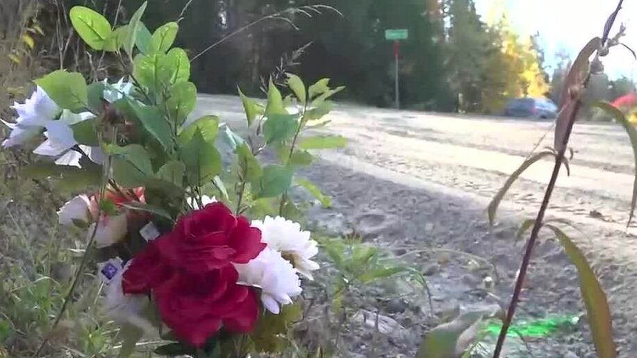 Driver in crash that killed teenager to appear in court
