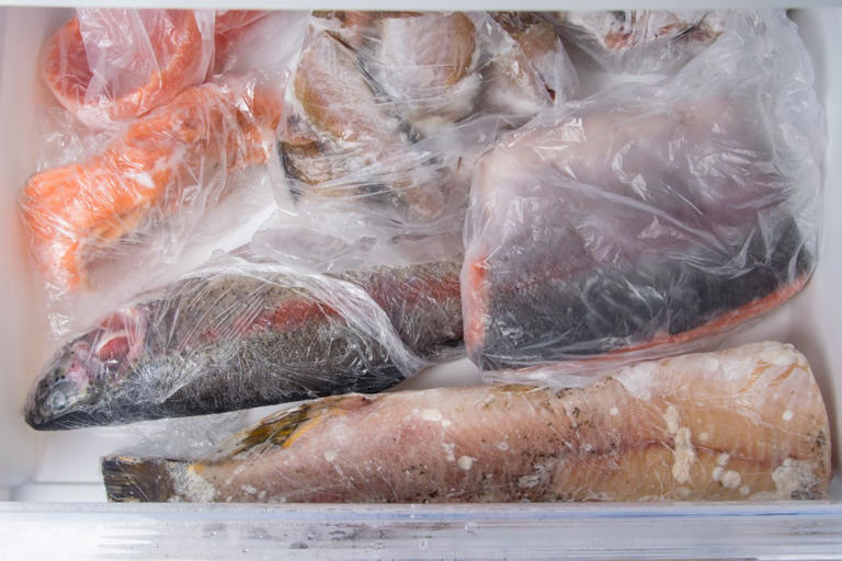 How long can fish stay in the freezer before it goes bad?
