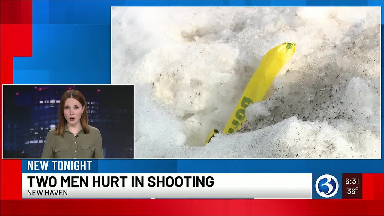Two men shot in New Haven overnight