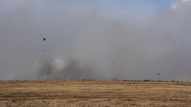 Responders battle large brush fire in Wimauma