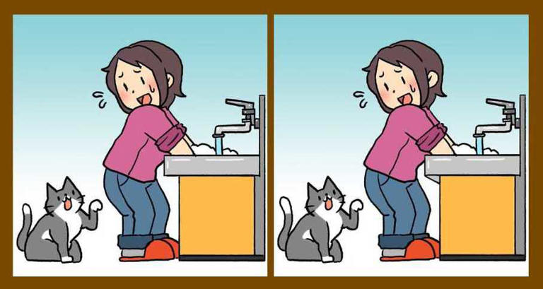Spot the difference puzzle: Find 3 differences in this woman and cat scene!