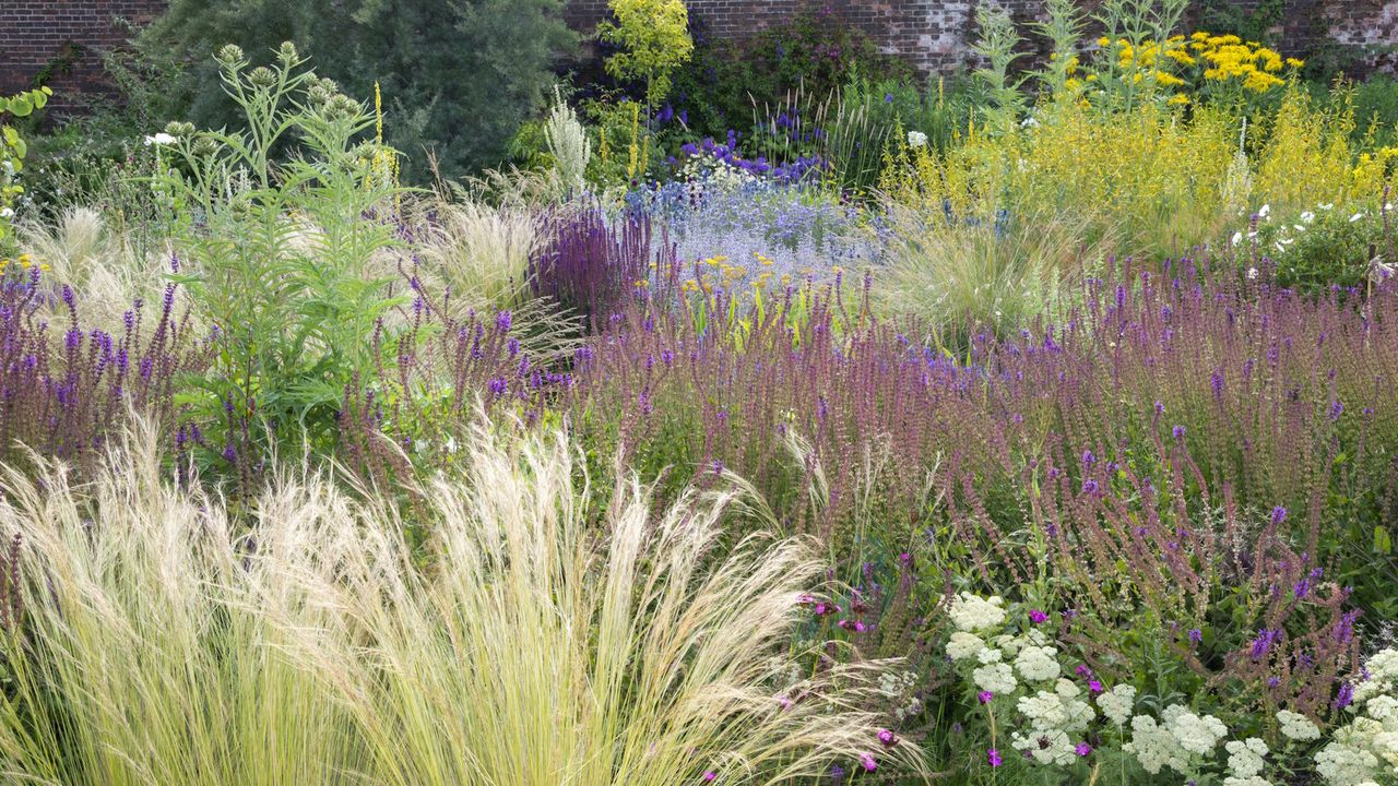 8 plants that thrive in walled gardens, whatever the style or size of ...