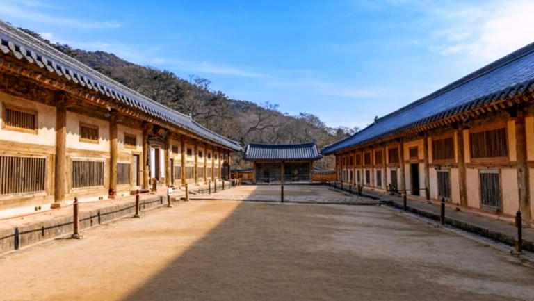 800년째 썩지 않는다... 길이만 60km에 달하는 세계유산 품은 천년 고찰