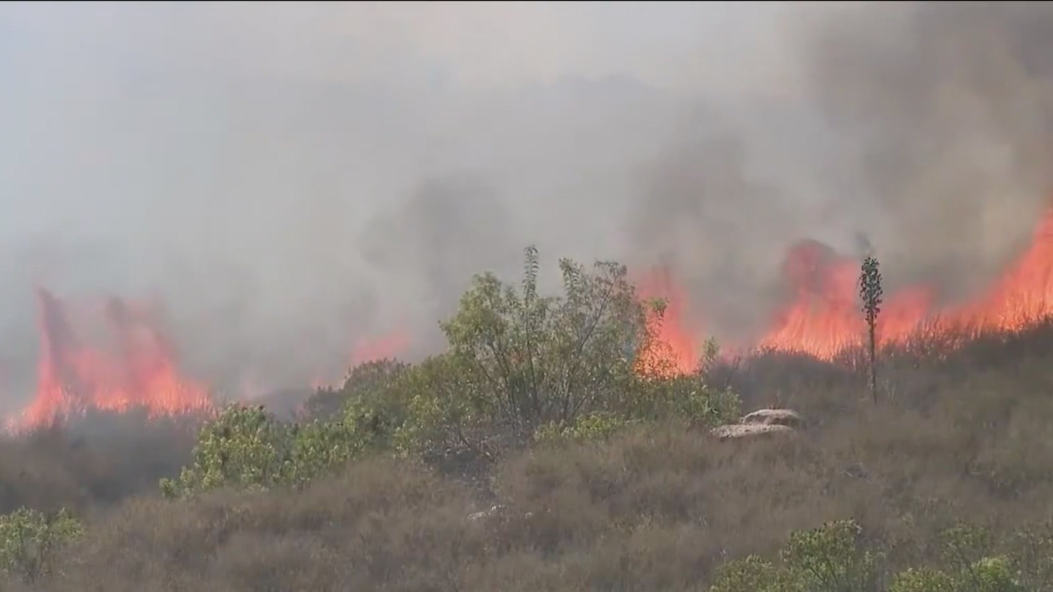 Escondido fire disaster training