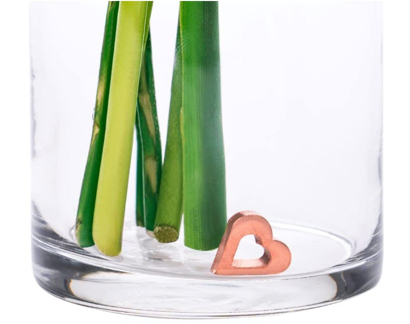 65 Weirdly Genius Things Under $25 We're Obsessed With On Amazon