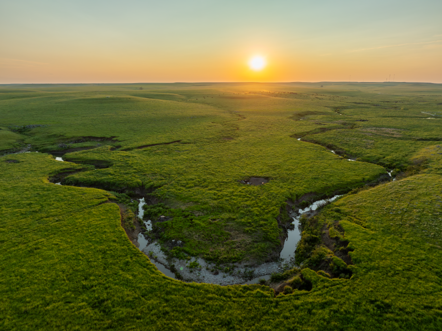 Forests taking over Kansas grasslands: KDA