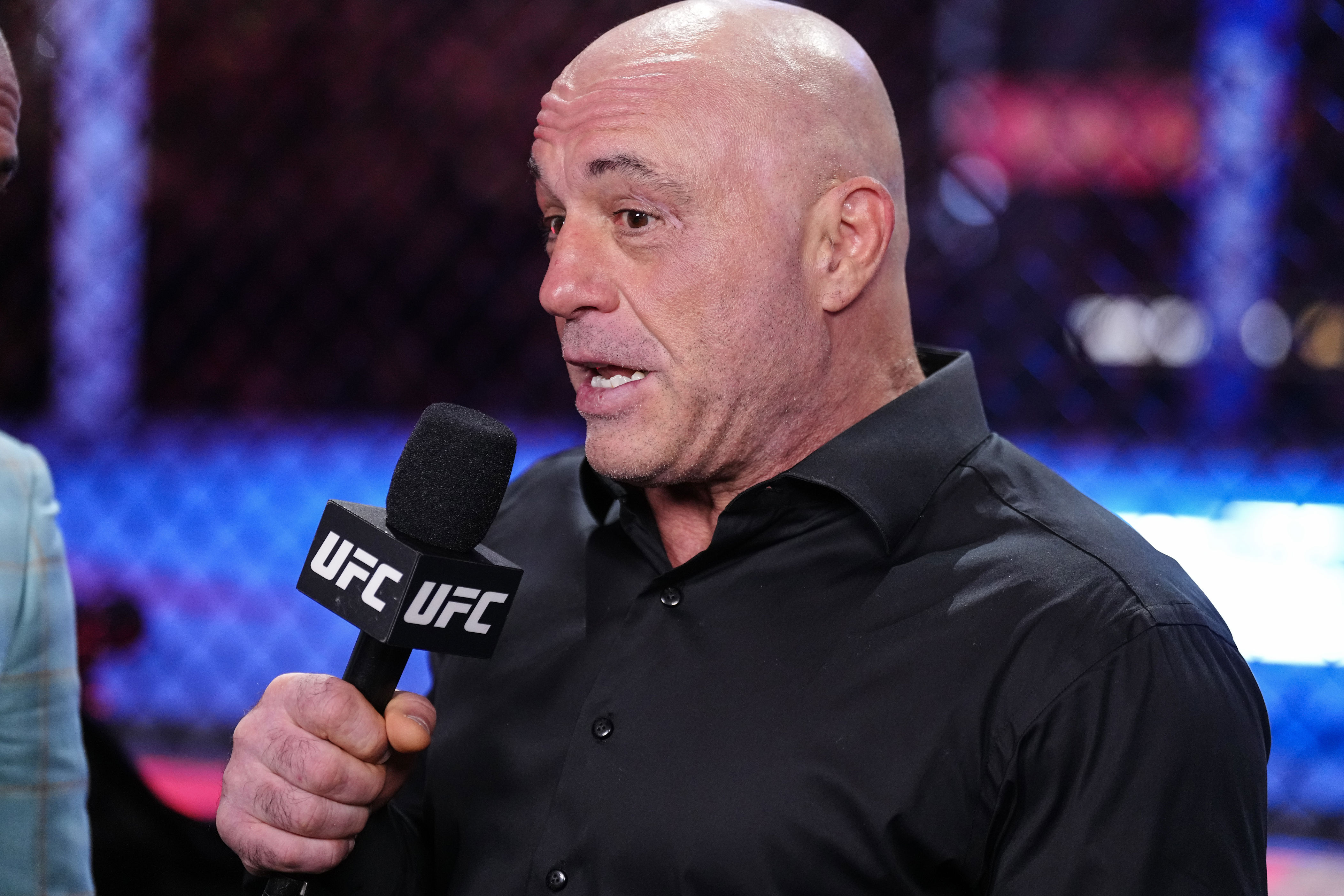 Joe Rogan reveals multiple reasons why he stopped fighting and focused ...