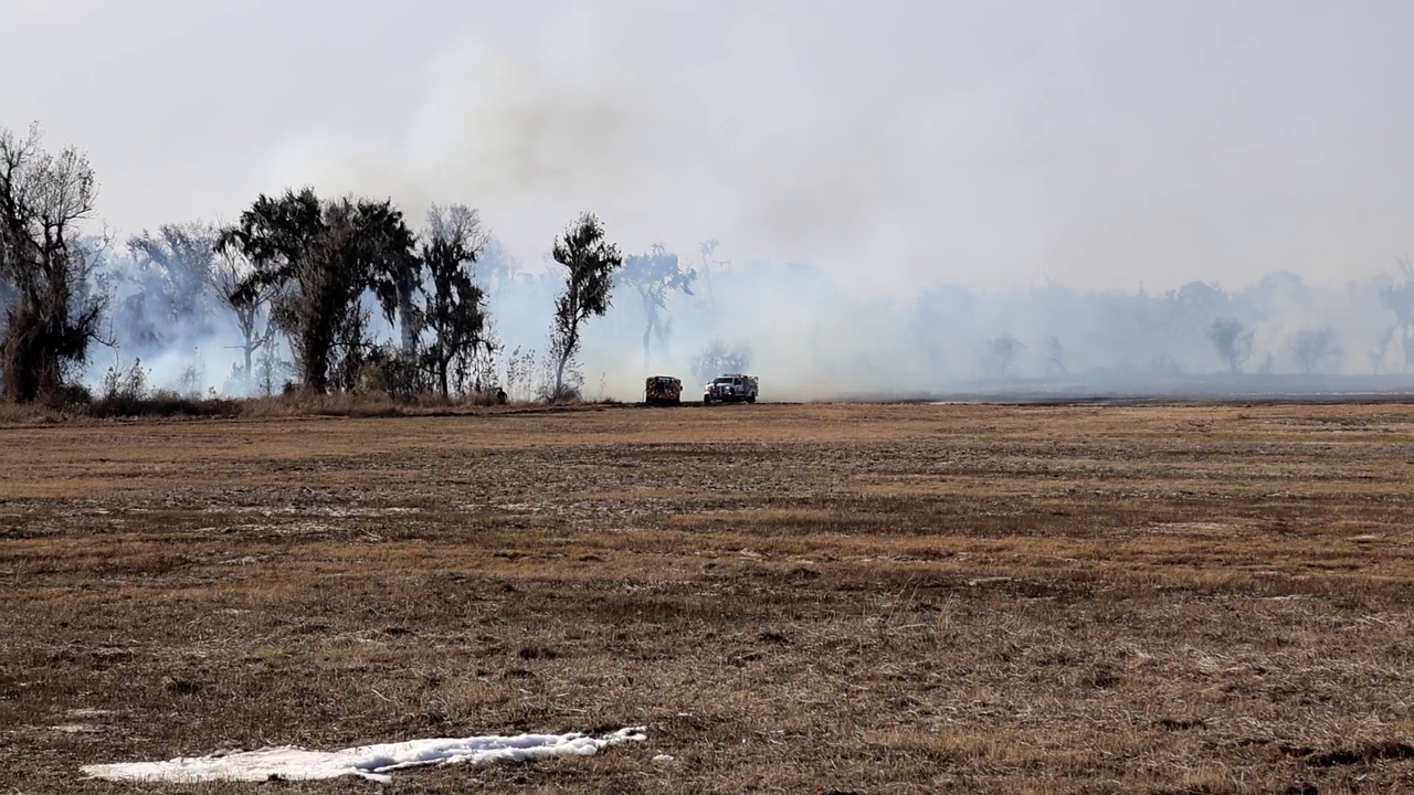 Crews battle massive brush fire burning in Wimauma: HCFR