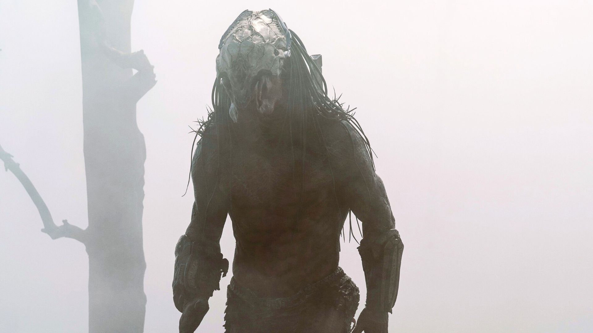 Disney's sci-fi franchise Predator is a major global streaming hit