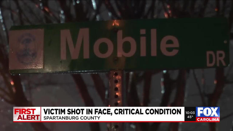 Victim in critical condition after being shot in the face, sheriff’s ...