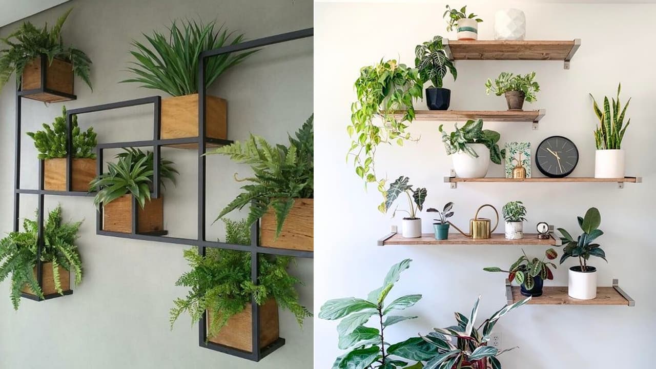 Office indoor plant ideas: 5 low-maintenance plants for a stress-free ...