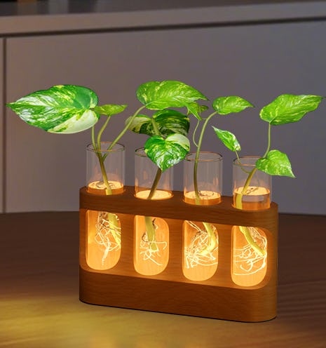 65 Bougie Things Under $25 That Are Dope As Hell