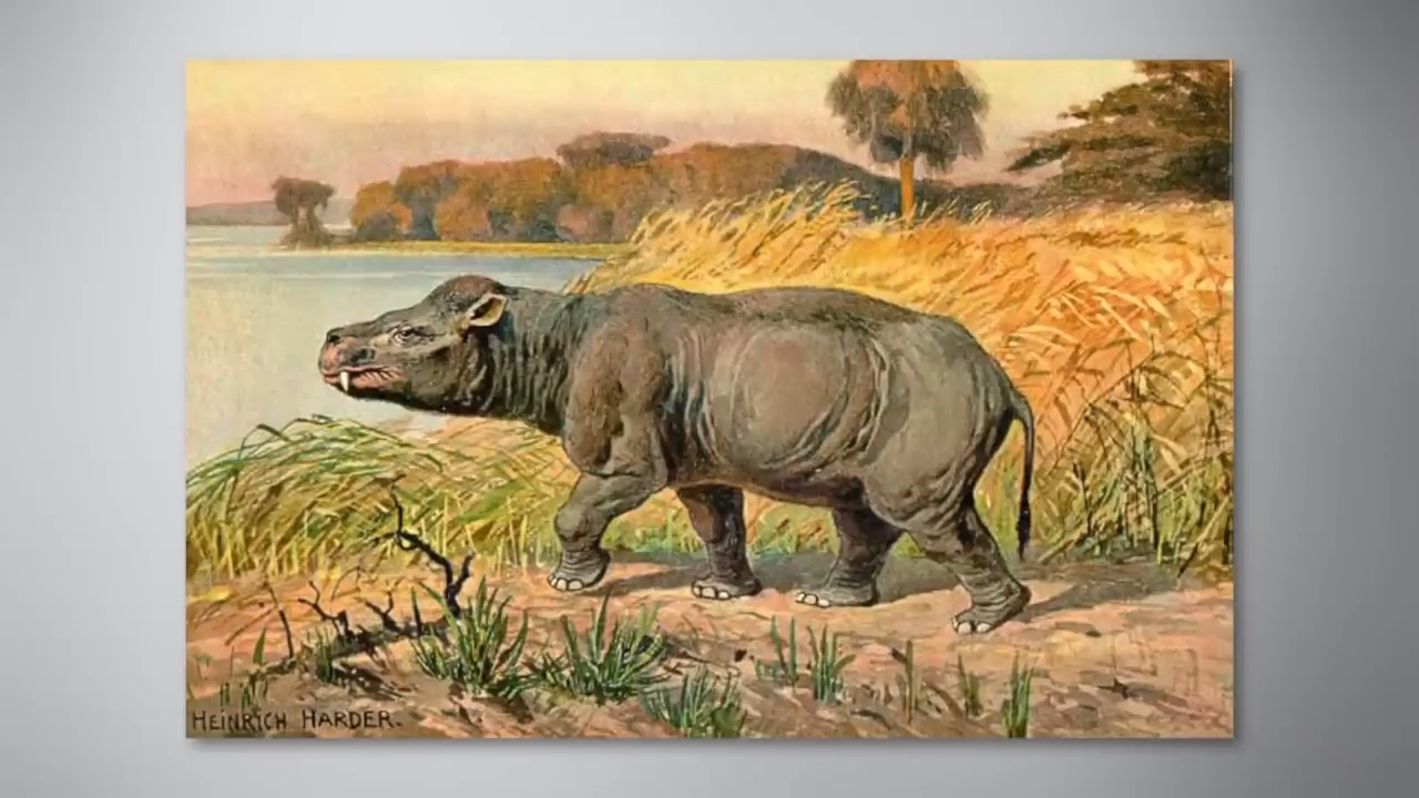 How familiar animals looked millions of years ago