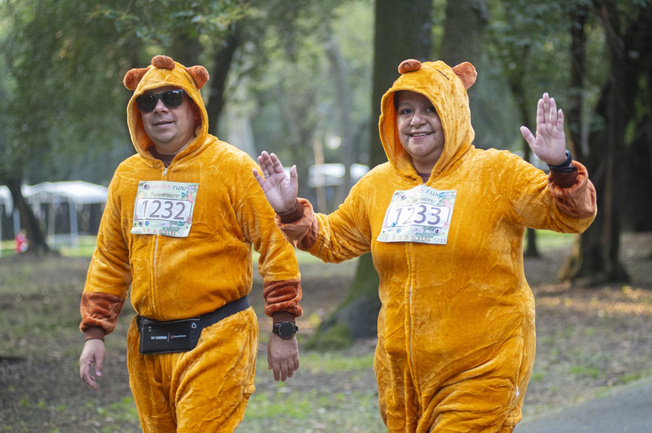 Mexico has fallen in love with the capybara for no apparent reason