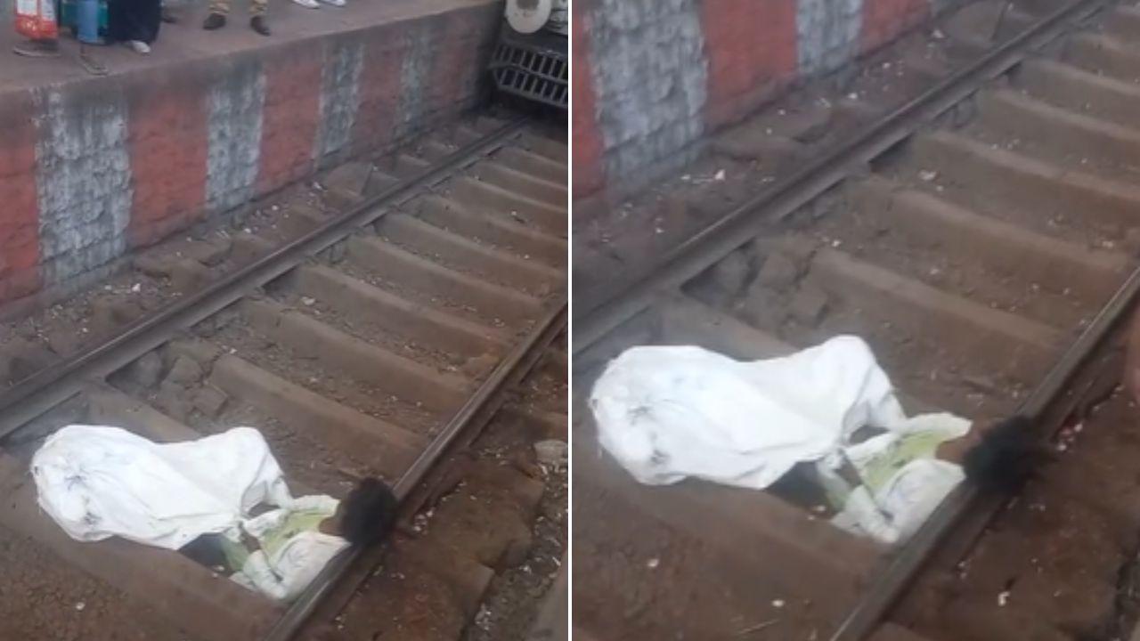 Mumbai local train services affected after 'drunk man' lies on tracks ...
