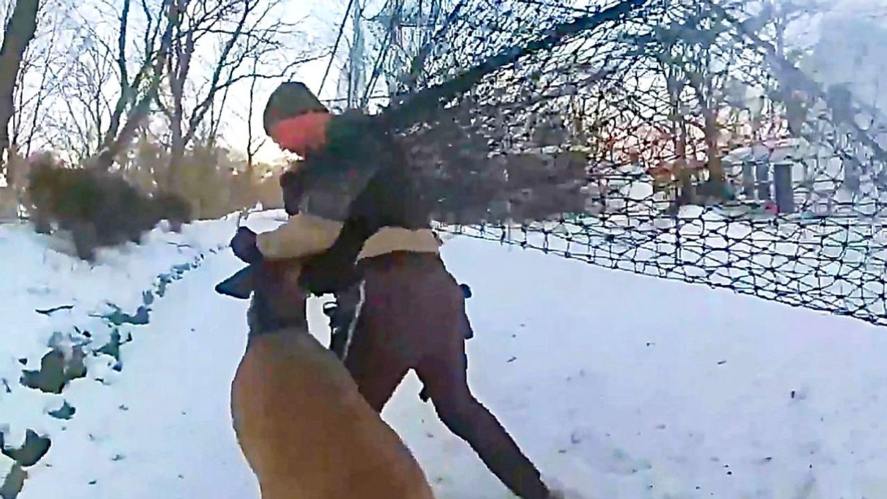 Officers rescue deer tangled in baseball net