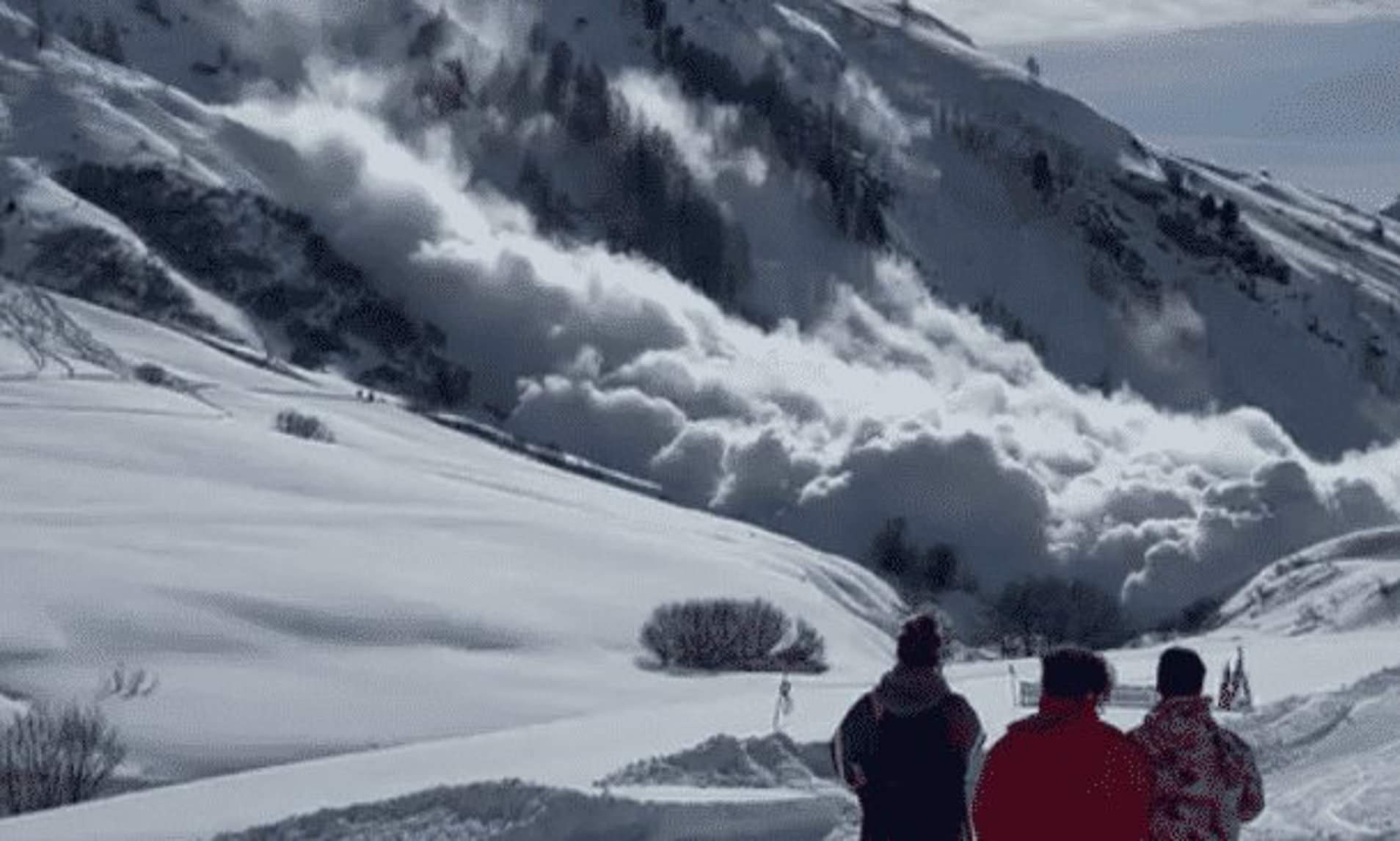 Instructor 'ignored warning' not to ski off-piste before avalanche that ...