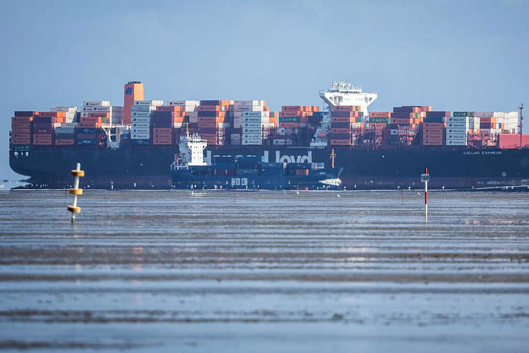 This Shipping Giant Is in Talks to by U.S.-Listed Rival. What to Know ...