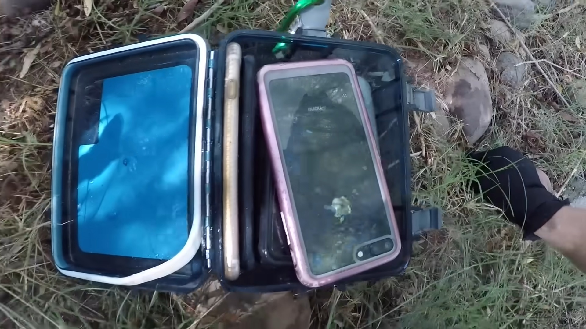 Full sealed box underwater… then the return turned wholesome fast