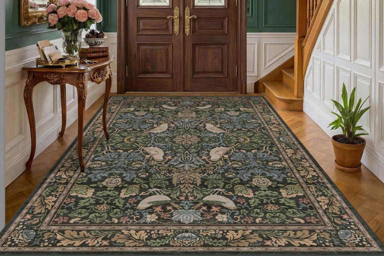 Giving your home a makeover doesn’t have to be expensive—these 10 rugs ...