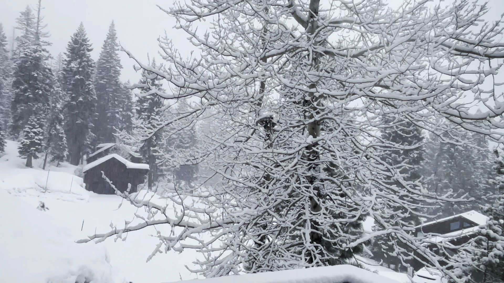 Northern California storm forecast: Heavy Sierra snow, rain and wind in ...
