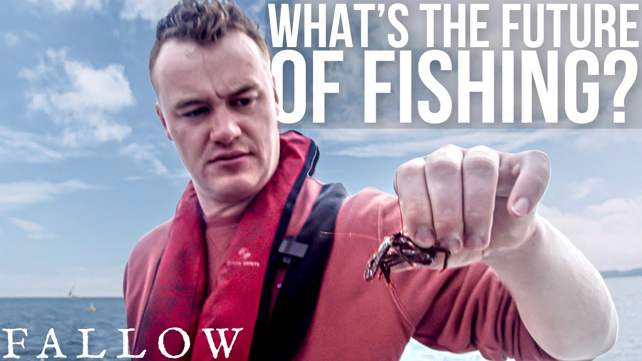 A walk through the largest fish market in Britain