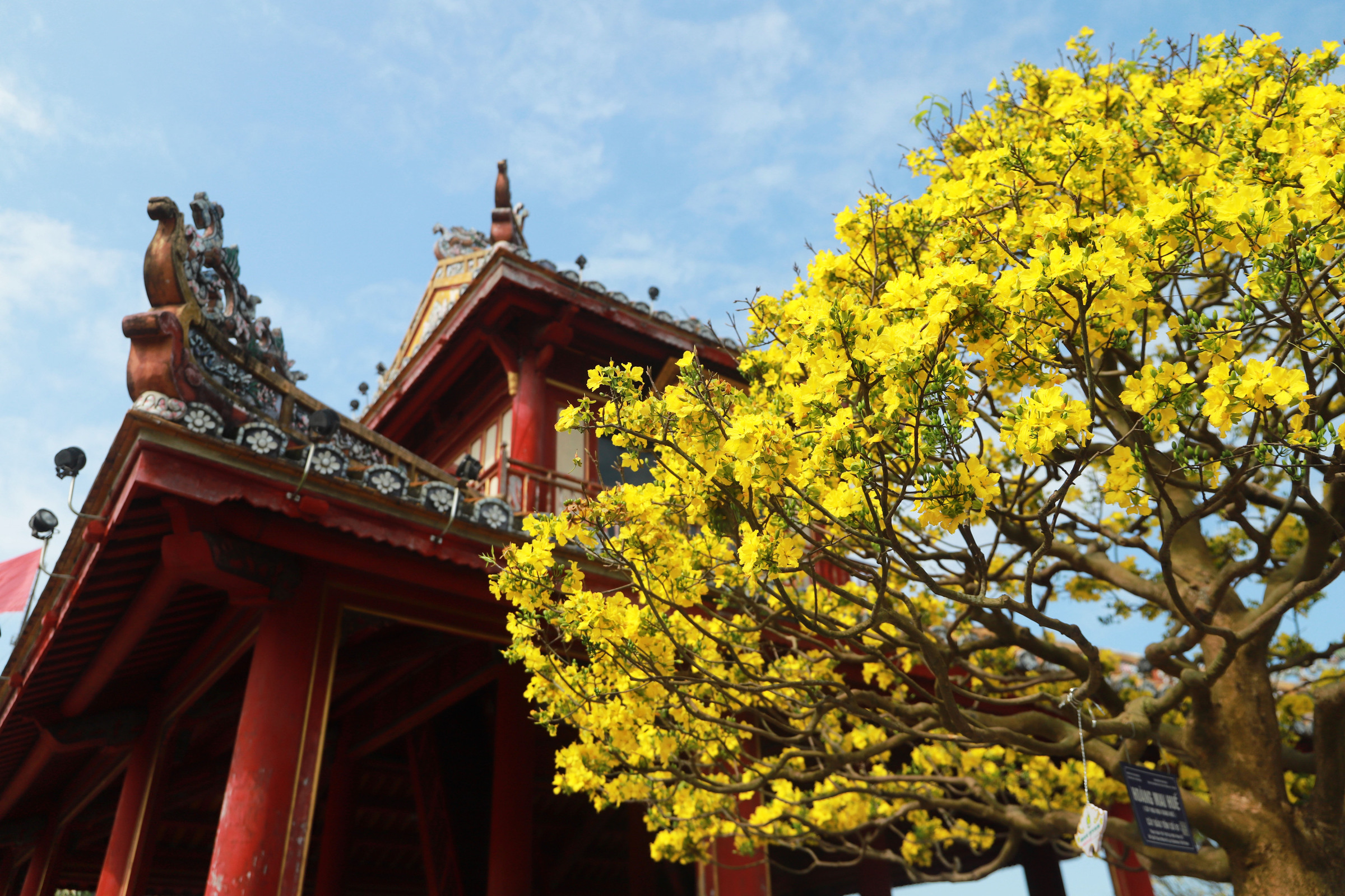 10 lời chúc Tết Bính Ngọ 2026 bằng tiếng Anh