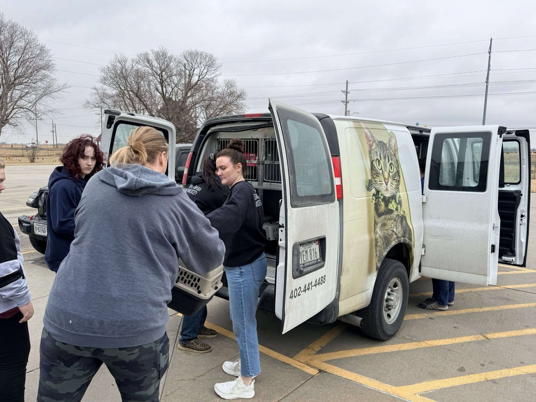 Humane societies across Nebraska provide space after more 100 cats ...