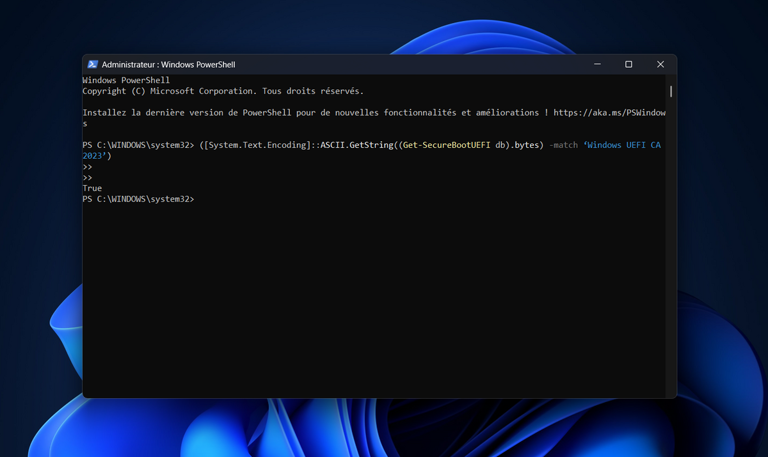 Windows 11 : l’explication rassurante derrière les mystérieuses erreurs ...