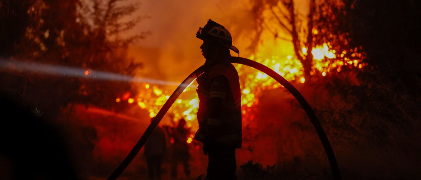 State of emergency declared as Florida faces worst drought in 25 years ...