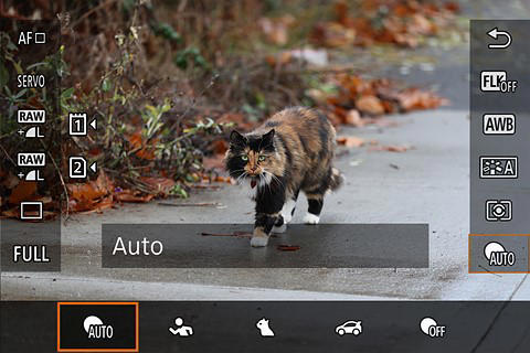 A beginner’s guide to setting up your camera’s autofocus