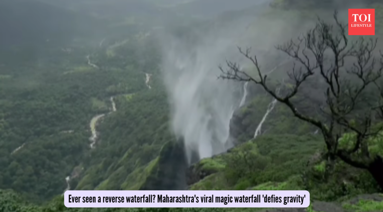 Ever seen a reverse waterfall? Maharashtra's viral magic waterfall ...