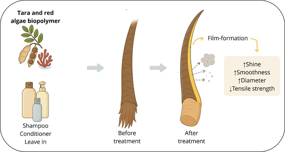 Two plant extracts made hair 29% shinier in lab tests