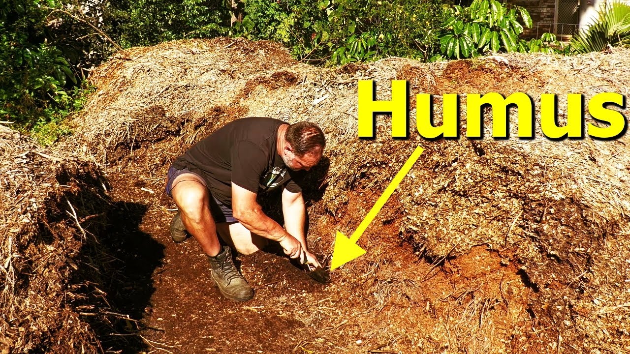 How wood chips turn into 'black gold': Easy humus for epic soil & gardening