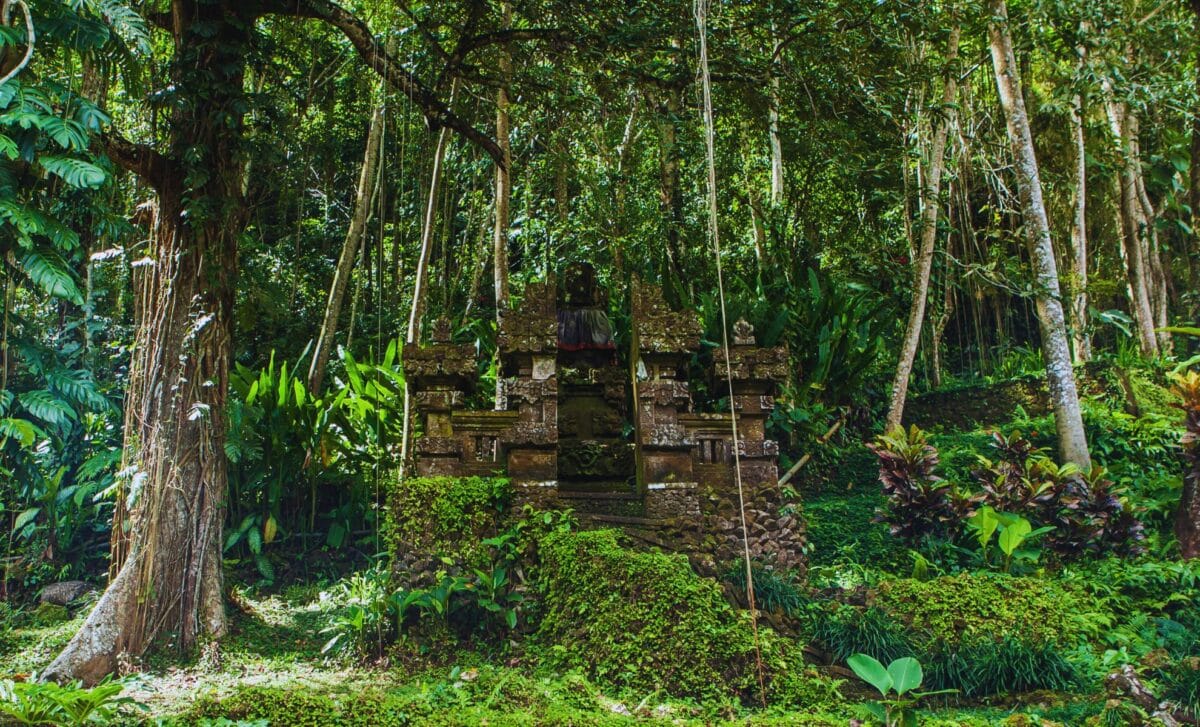 Archaeologists just unearthed a 5,000-year-old fortress hiding deep in ...