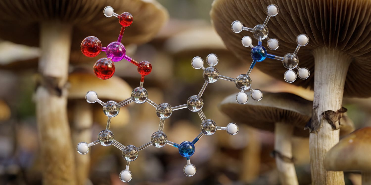 Low-dose psilocybin reduces weight gain and hyperglycemia in mice fed ...