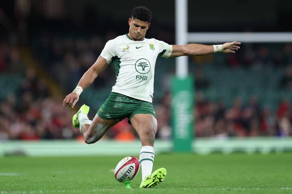 Naas Botha says speed and versatility make Feinberg-Mngomezulu ...
