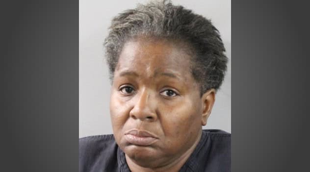 The 'church friend' and fake badge: Lakeland woman arrested after ...