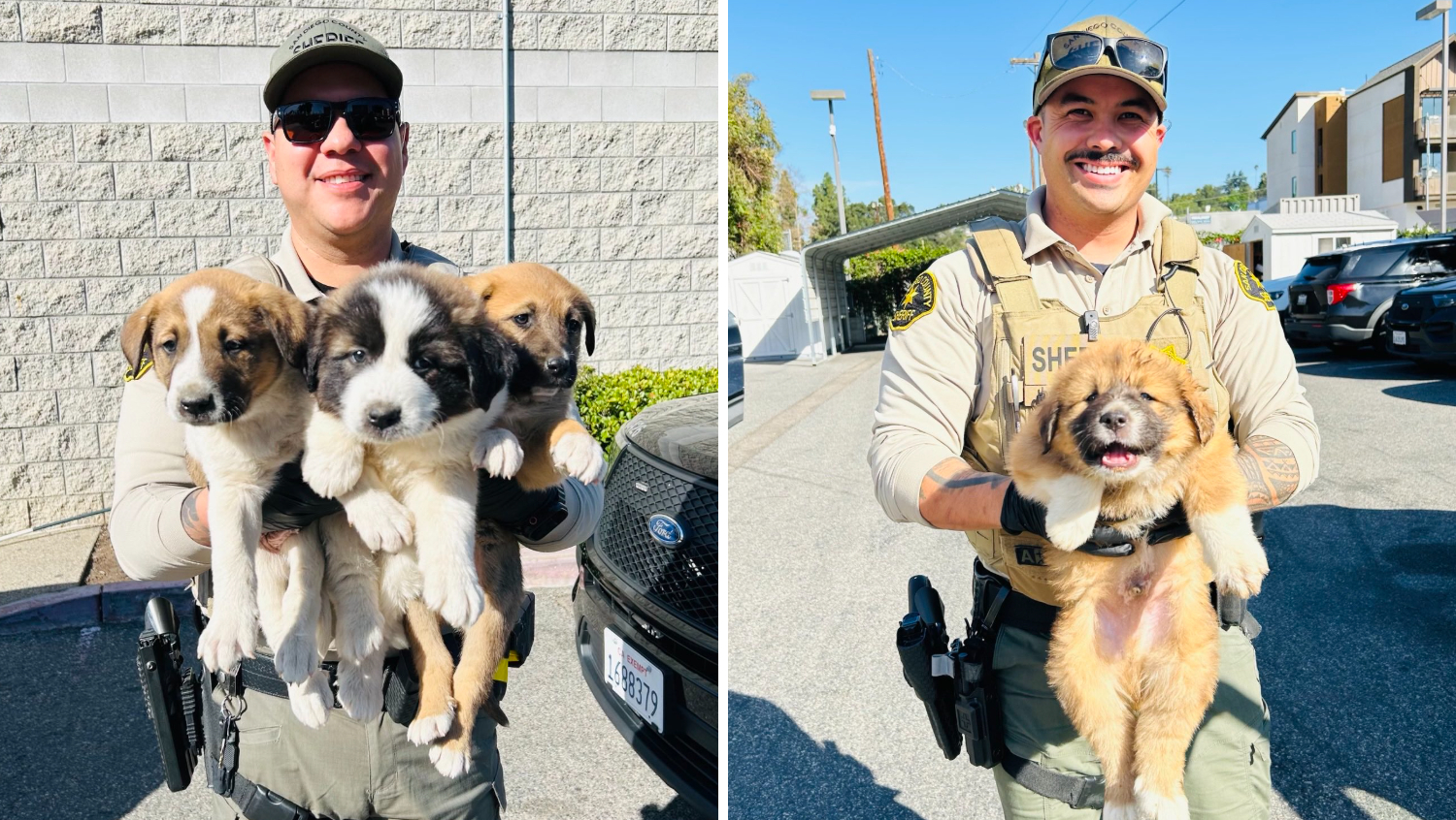Good Samaritan saves six puppies left in bucket near Old Hwy 395
