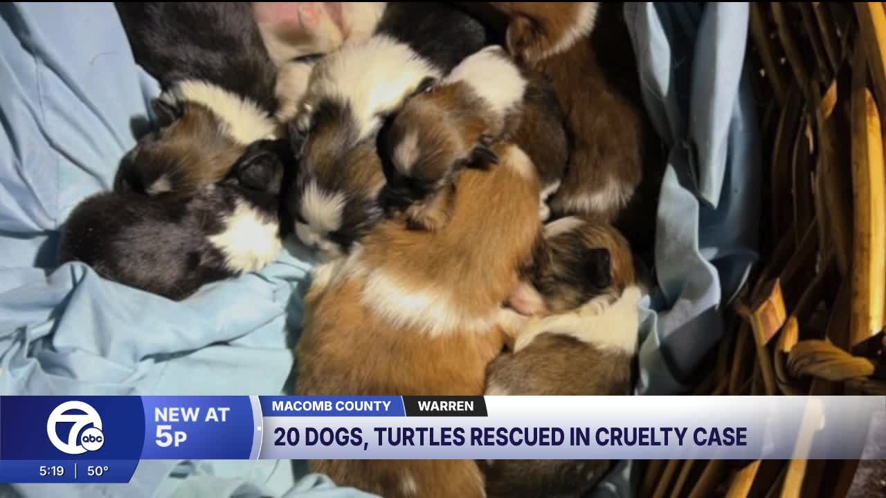 Warren woman faces animal cruelty charges after 24 animals rescued