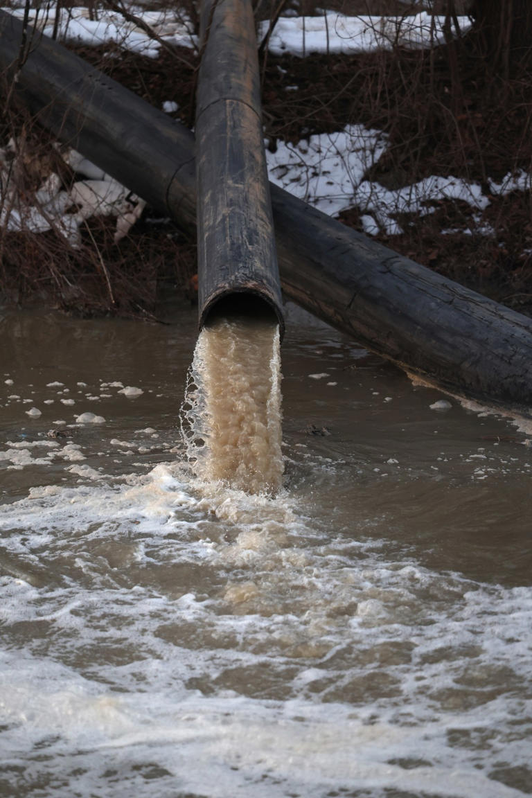 Trump intervenes as millions of gallons of crap sully Potomac River ...