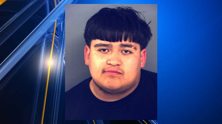 Man arrested after fleeing deputies, then crashing
