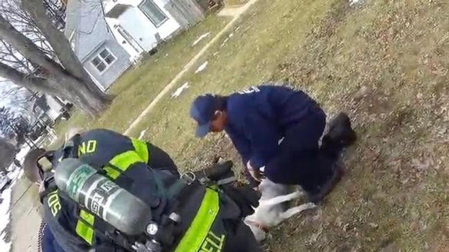 One person taken to hospital, dog rescued after South Bend house fire