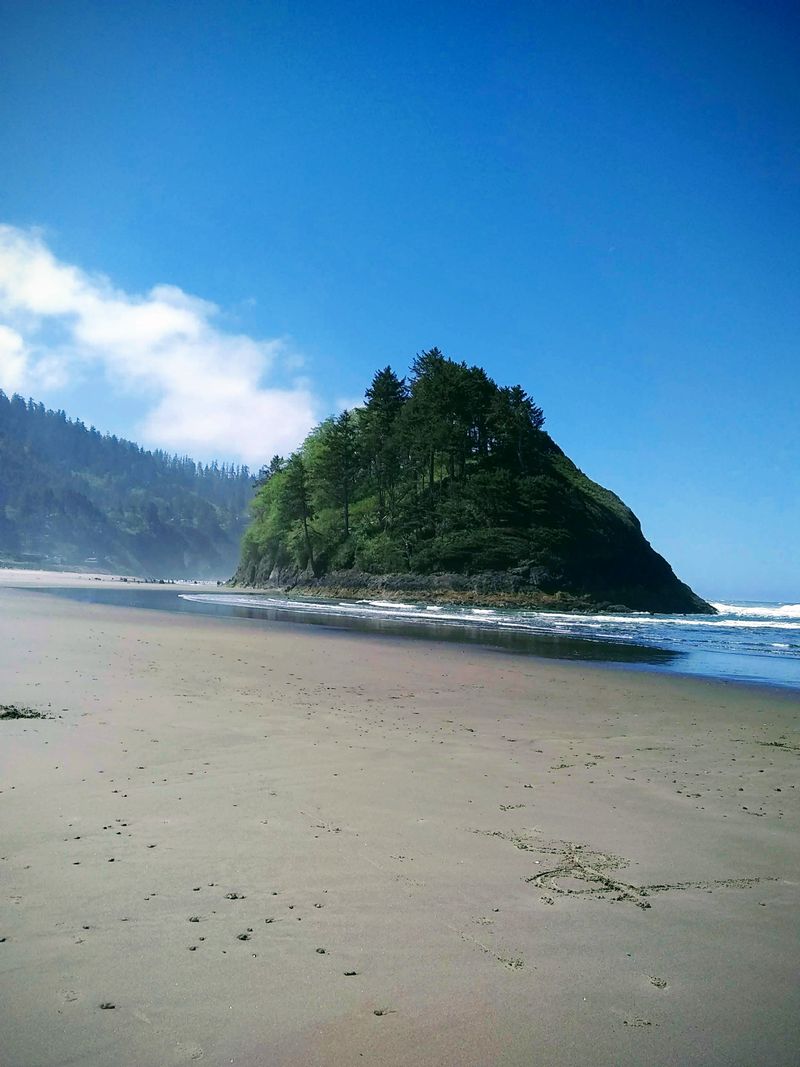 A ghostly 2,000-year-old forest rises from the tides on this Oregon ...