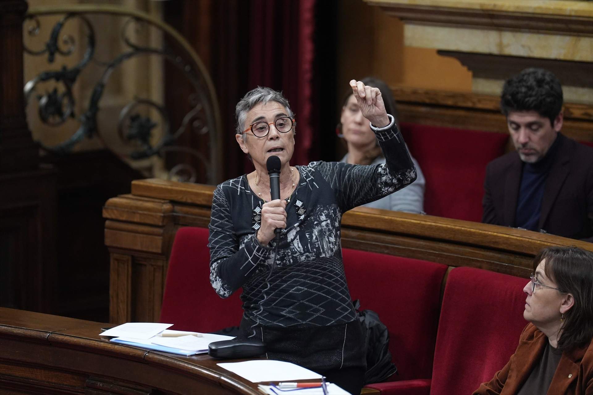 ERC, Comuns y la CUP piden explicaciones y una rectificación al Govern ...