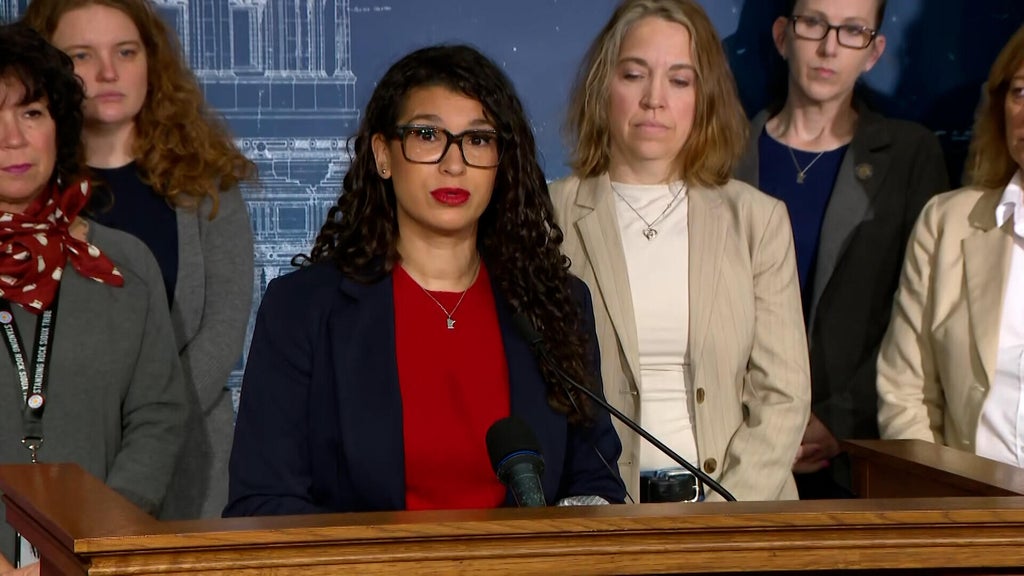 Minnesota DFL lawmakers call on GOP to stand against federal ...